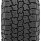 Thumbnail 4 for Safari&reg; AT