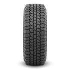 Thumbnail 2 for Safari&reg; AT